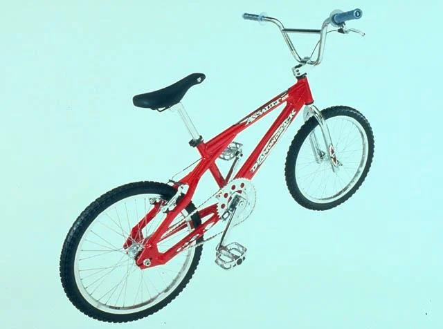 1999 Diamondback Assault EX