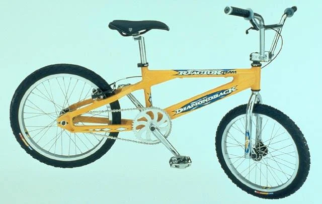 1999 Diamondback Reactor Team
