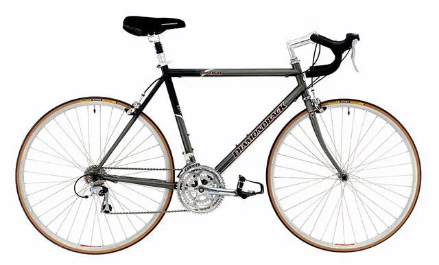 2000 Diamondback Interval