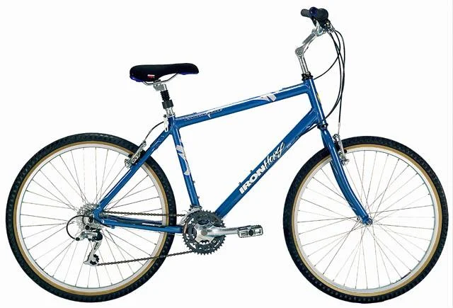 2000 Iron Horse Fairlane