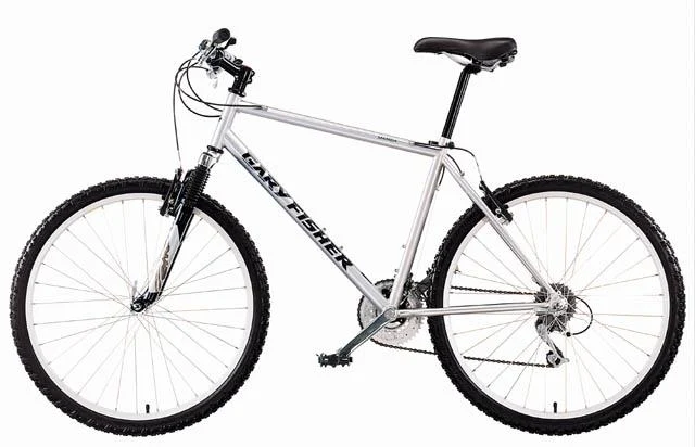 2000 Gary Fisher Mamba