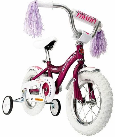 2000 Schwinn Tigress