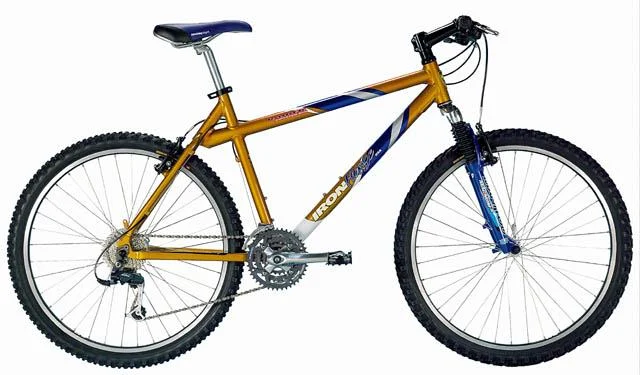 2000 Iron Horse Raider