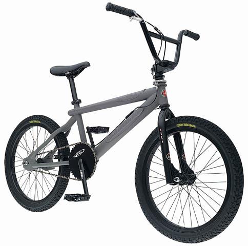2000 Schwinn Automatic Comp