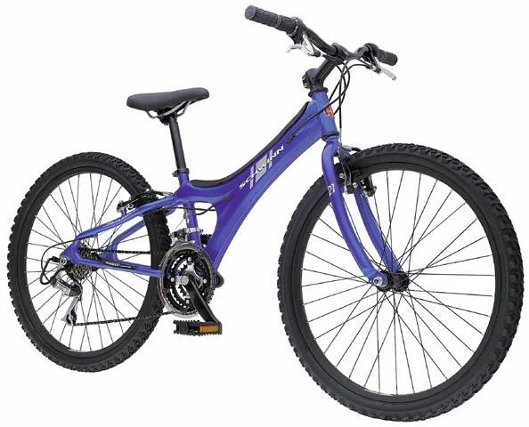2000 Schwinn Speedster 24