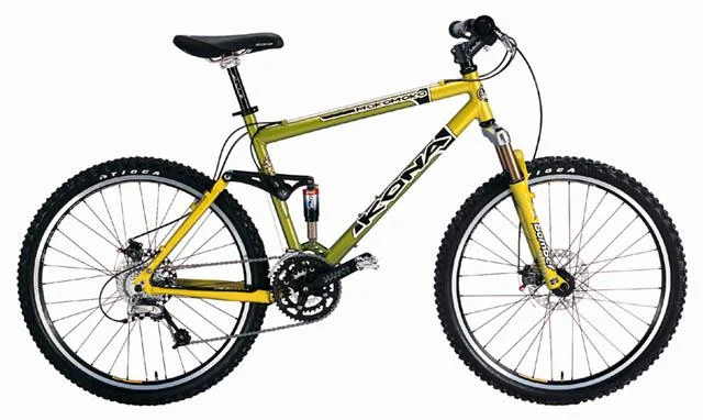 2000 Kona Mokomoko