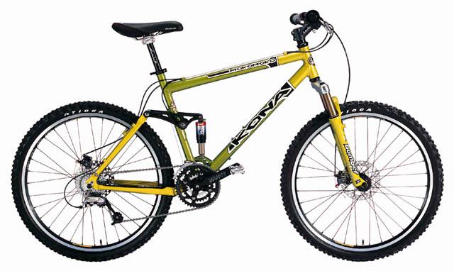 2000 Kona Mokomoko