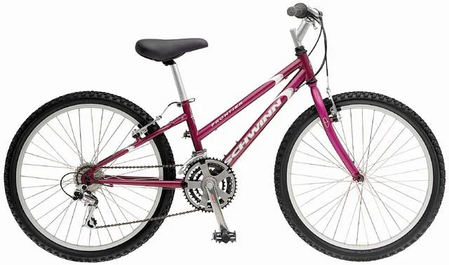 2000 Schwinn Frontier 24
