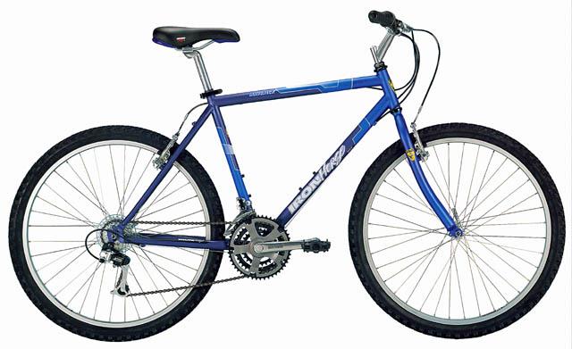 2000 Iron Horse Maverick