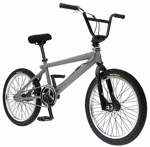 2000 Schwinn Automatic Team