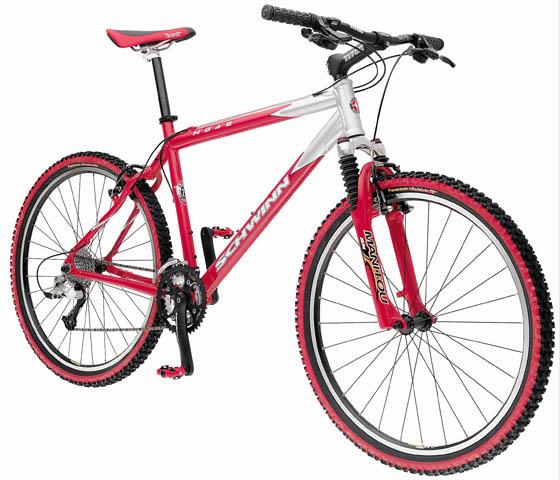 2000 Schwinn Moab 2