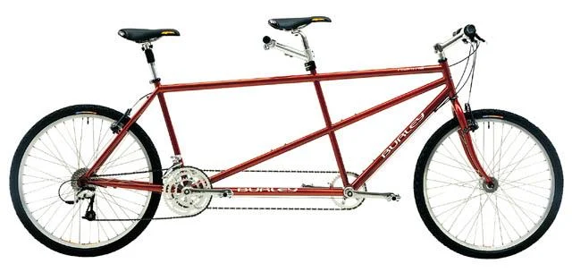 2000 Burley Rock 'n Roll