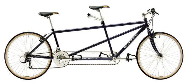 2000 Burley Samba