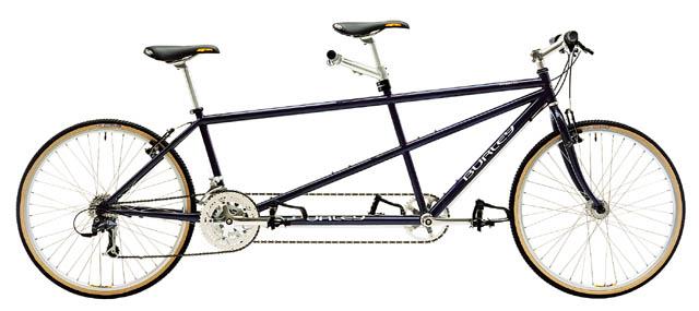 2000 Burley Samba