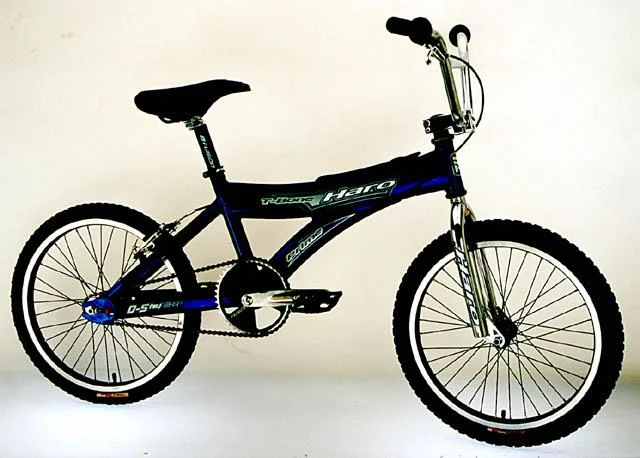 2000 Haro T-Bone Prime