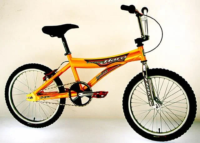 2000 Haro T-Bone Select