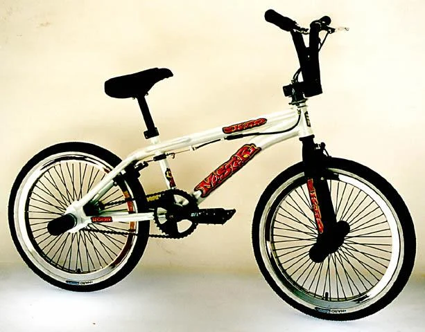 2000 Haro Master