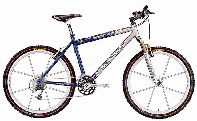 2001 Rocky Mountain Vertex