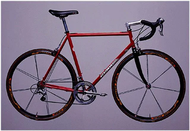 2001 Gunnar Hot Dog!/Ultegra