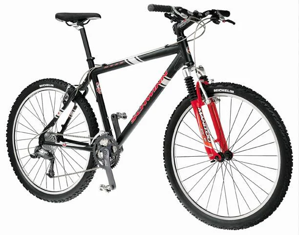 2001 Schwinn Moab 1