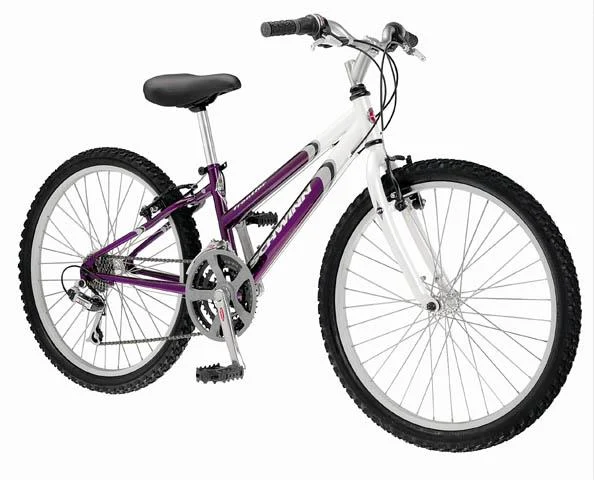2001 Schwinn Frontier 24