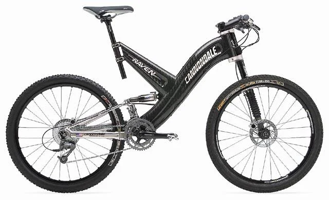 2001 Cannondale Raven 4000 SL