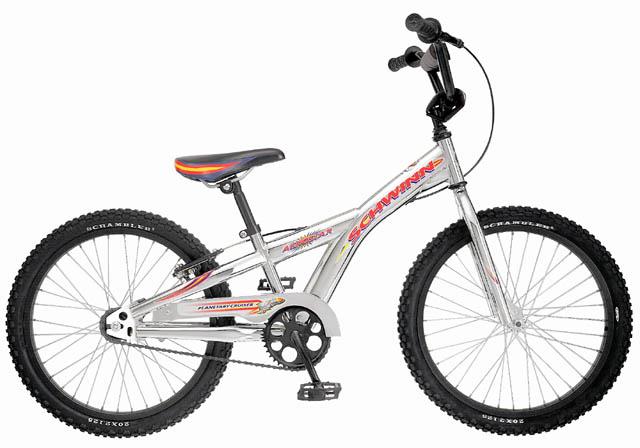 2001 Schwinn Aerostar