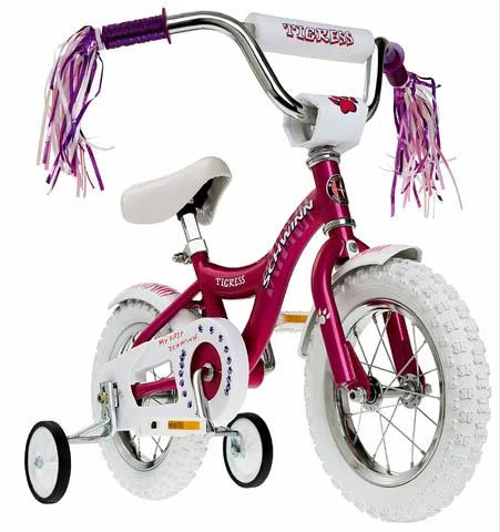2001 Schwinn Tigress