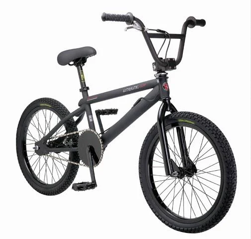 2001 Schwinn Automatic Comp