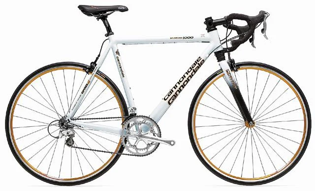 2001 Cannondale Silk Road 1000