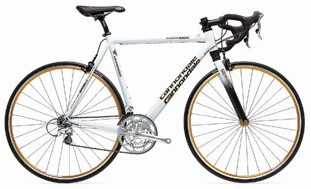 2001 Cannondale Silk Road 1000 Triple