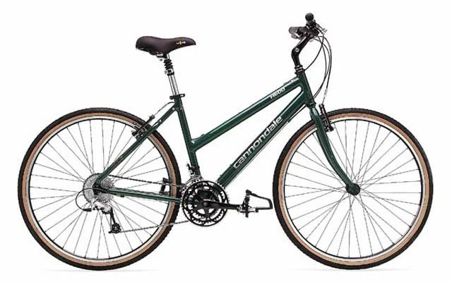 2001 Cannondale H600 Mixte