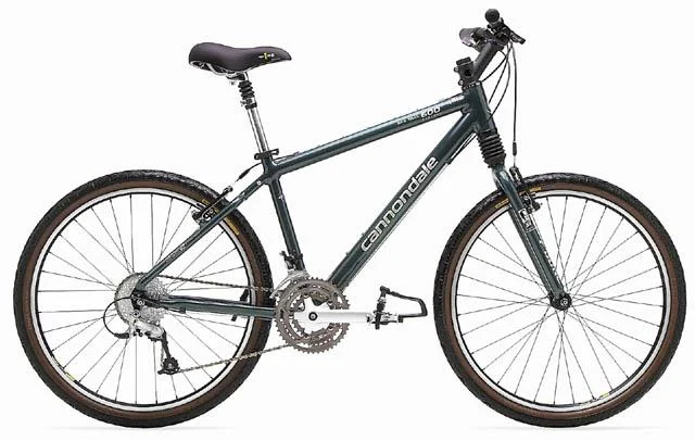 2001 Cannondale Silk Trail 600