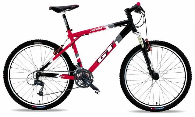 2001 GT Zaskar Race
