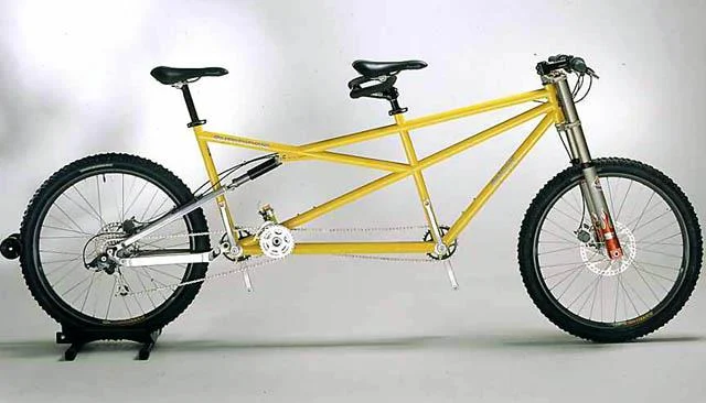 2001 da Vinci Designs Symbiosis AL