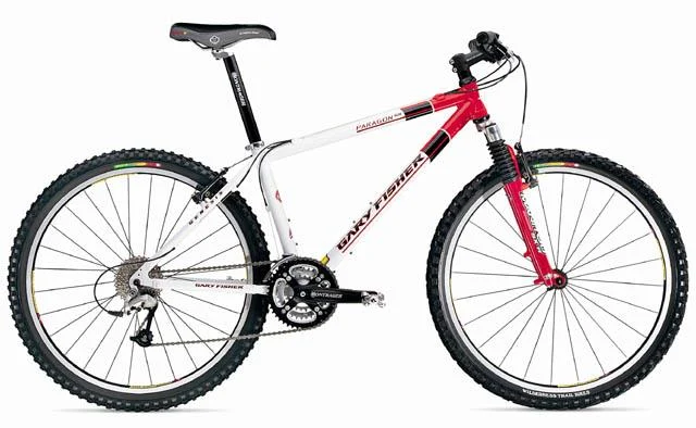 2001 Gary Fisher Paragon GS