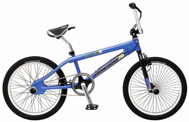 2001 Mongoose Rogue