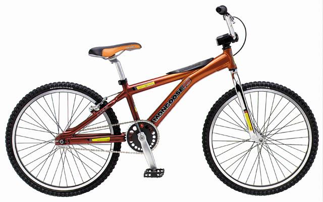 2001 Mongoose SGX 24