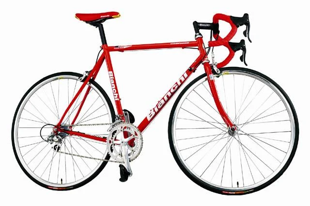 2001 Bianchi Campione