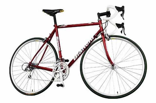 2001 Bianchi Eros