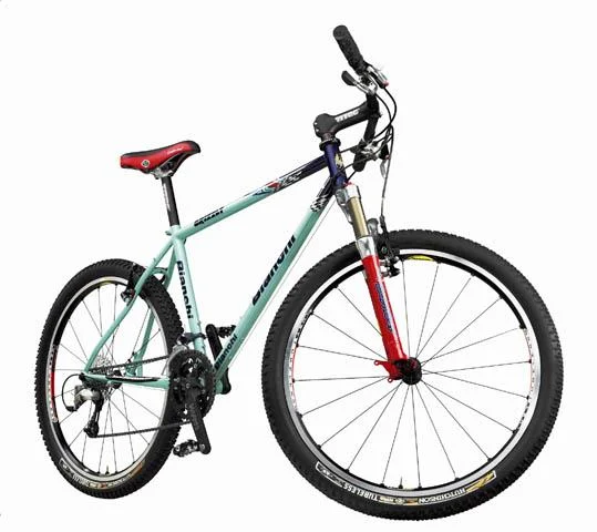2001 Bianchi Grizzly
