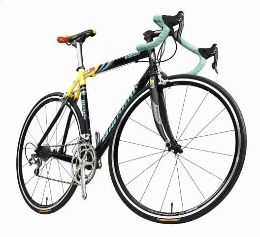 2001 Bianchi XL Aluminum/Record