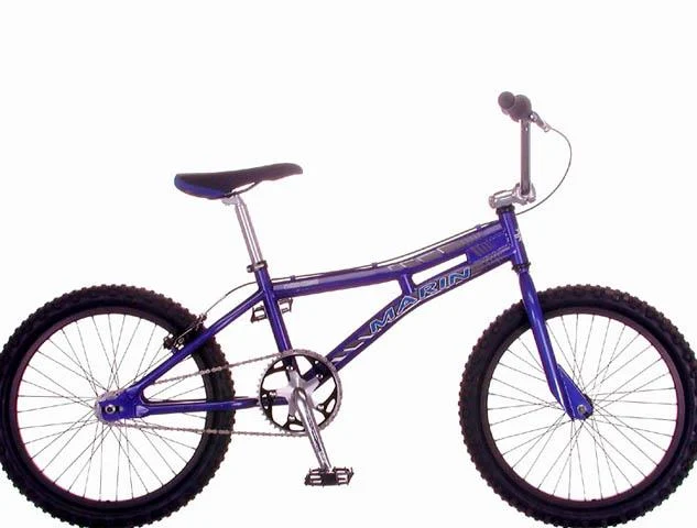 2001 Marin MBX-125