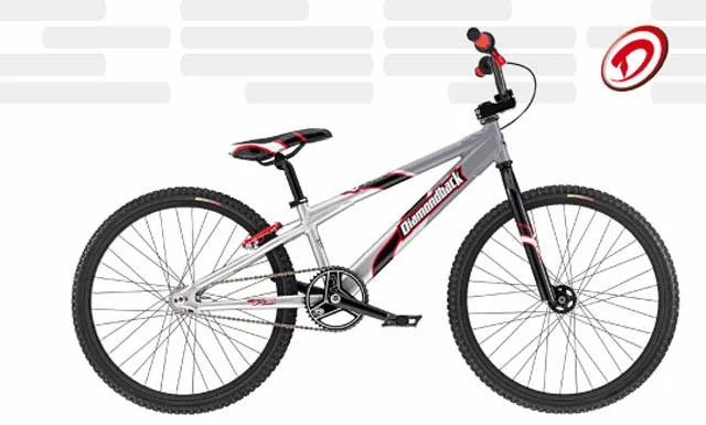 2001 Diamondback RM24