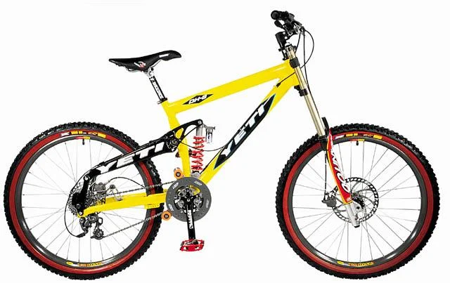 2001 Yeti DH 9 Pro