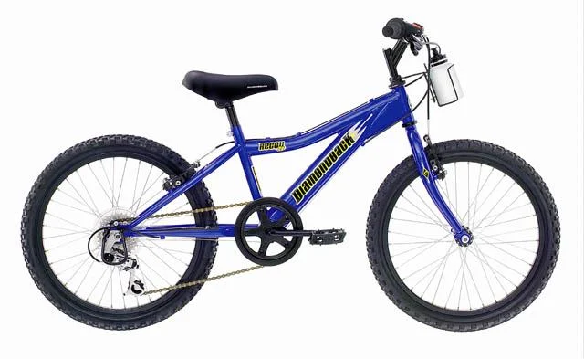 2001 Diamondback Recoil 20