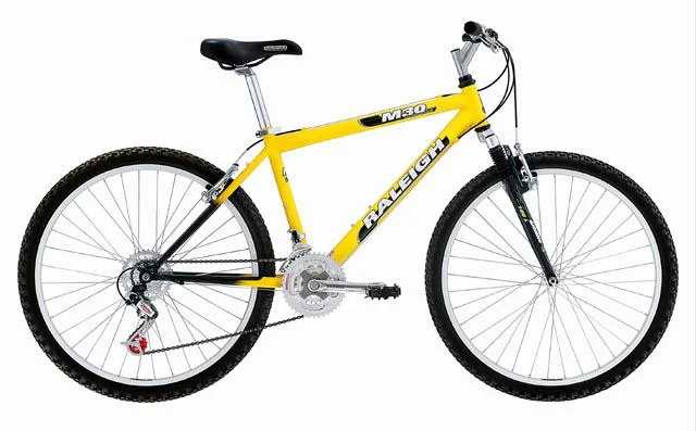 2001 Raleigh M30