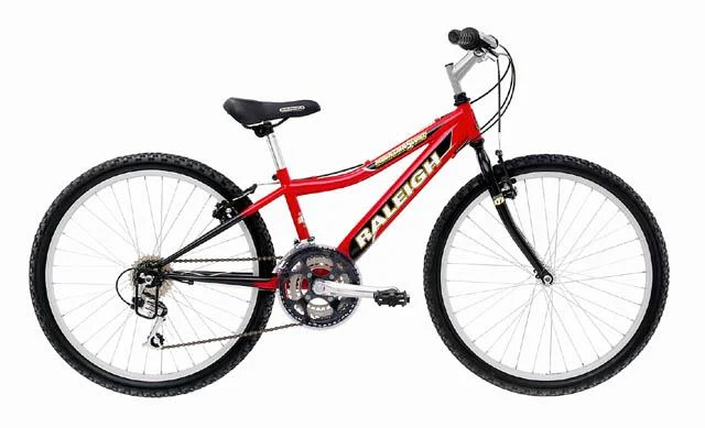 2001 Raleigh Mountain Scout