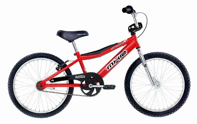 2001 Raleigh MXR