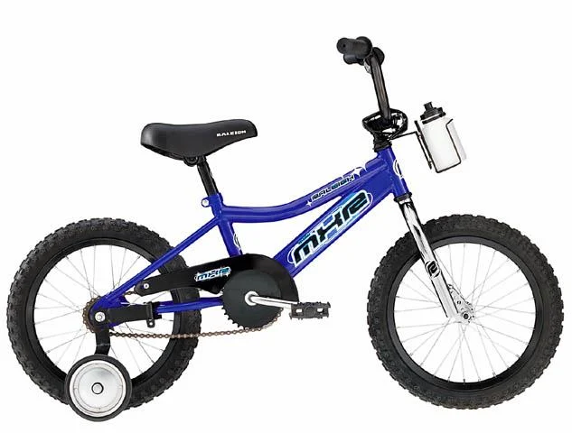 2001 Raleigh MXR Mini